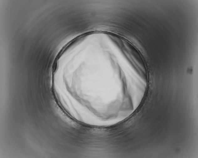 X0000112491036200909071216