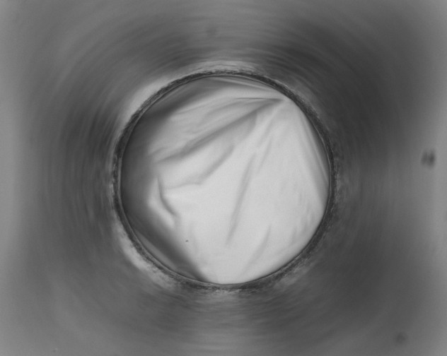 X0000112491038200909071216