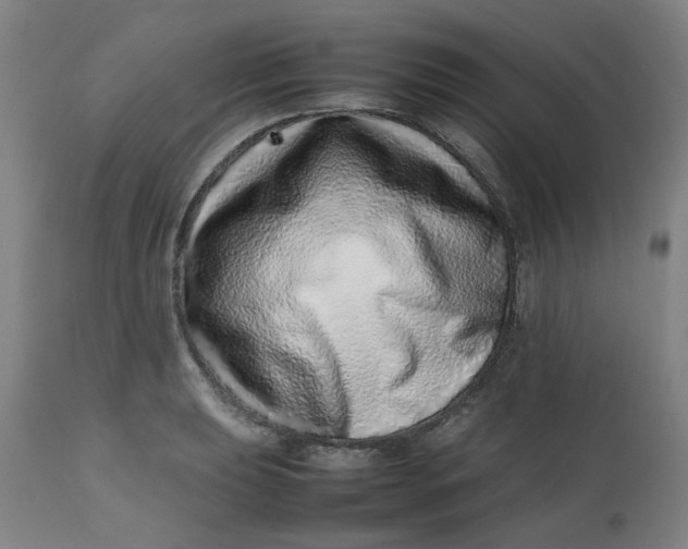 X0000112491039200909071216