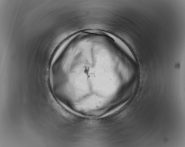 X0000112491040200909071216