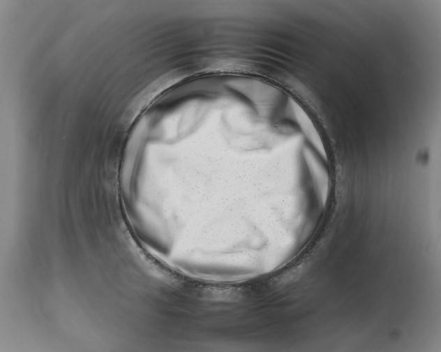 X0000112491041200909071217