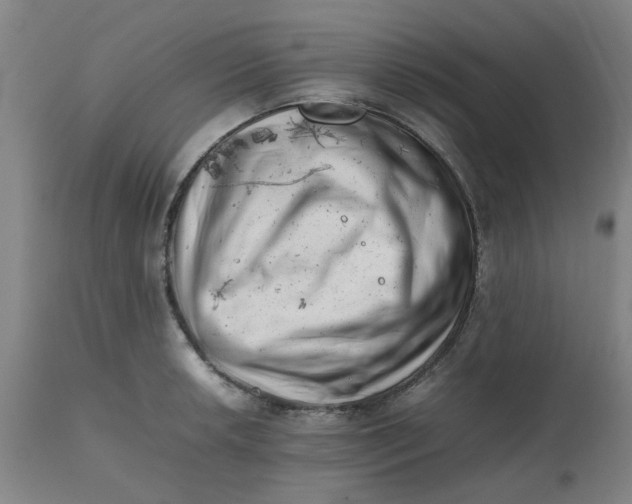 X0000112491042200909071217