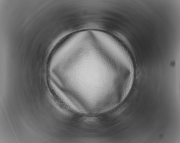 X0000112491043200909071217