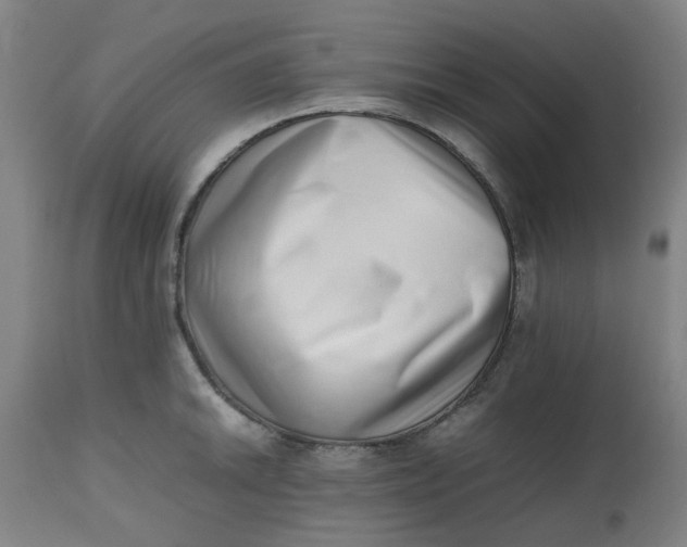 X0000112491046200909071217