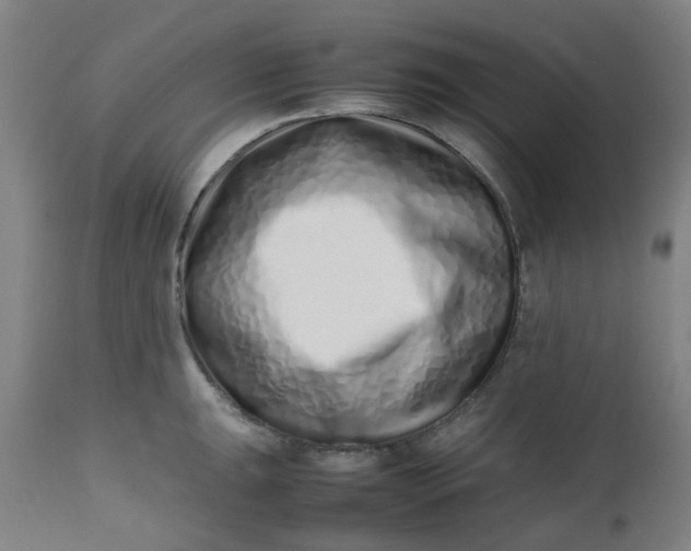 X0000112491047200909071217