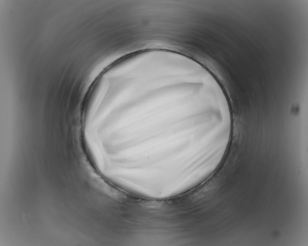 X0000112491048200909071217