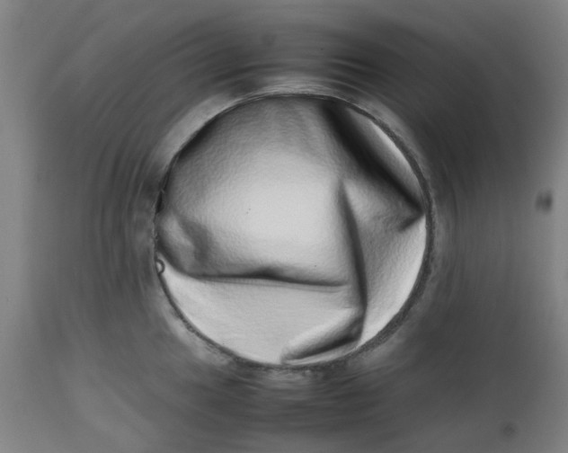 X0000112491049200909071217