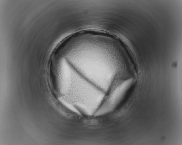 X0000112491051200909071217