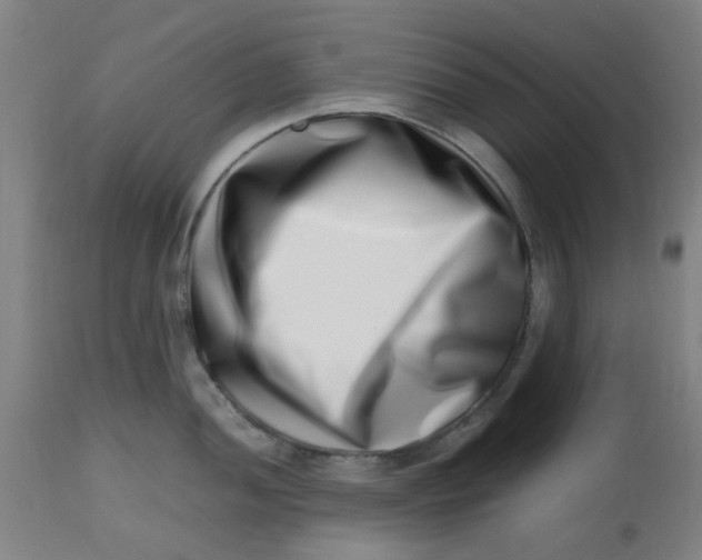 X0000112491052200909071217