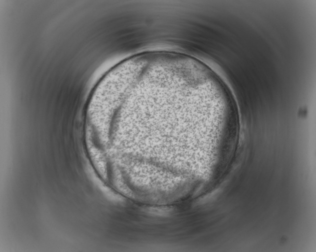 X0000112491053200909071217