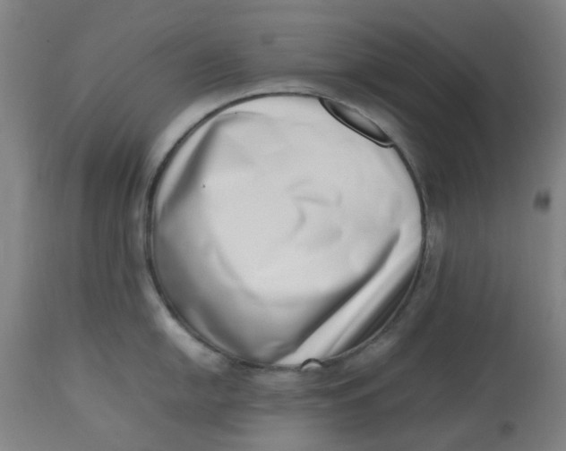 X0000112491054200909071217