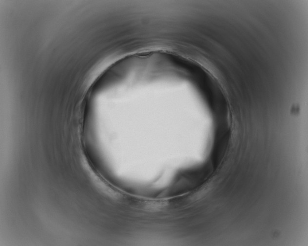 X0000112491055200909071217