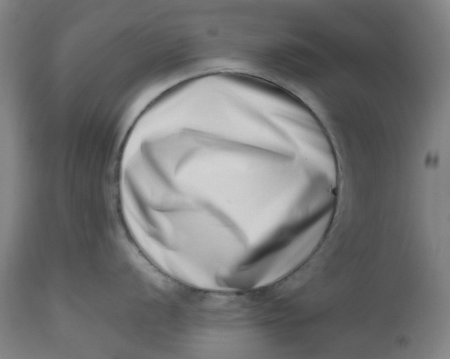 X0000112491056200909071217