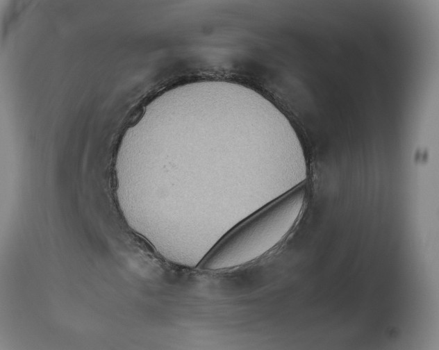 X0000112491057200909071216