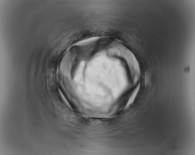 X0000112491059200909071216