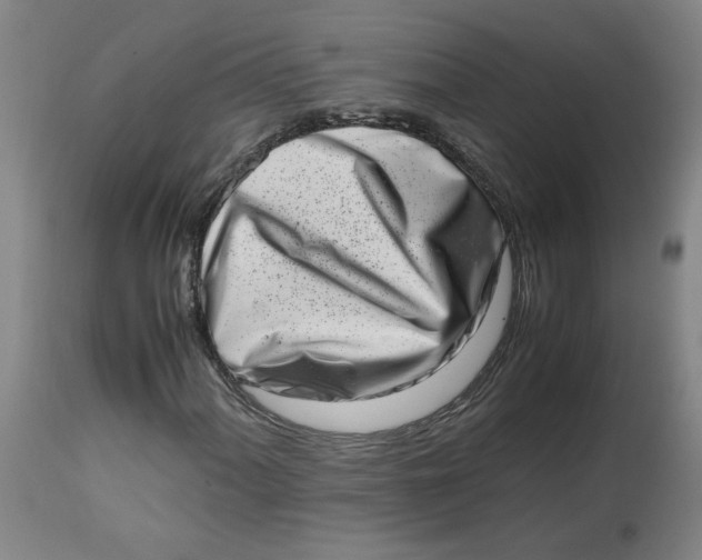 X0000112491060200909071216