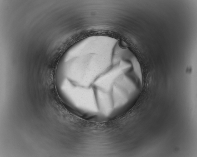 X0000112491062200909071216