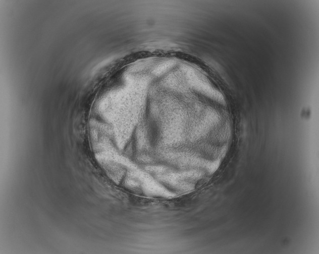 X0000112491063200909071216