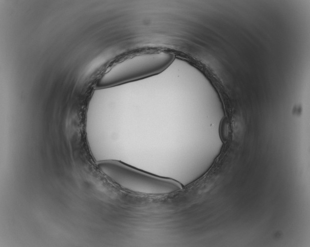 X0000112491064200909071216