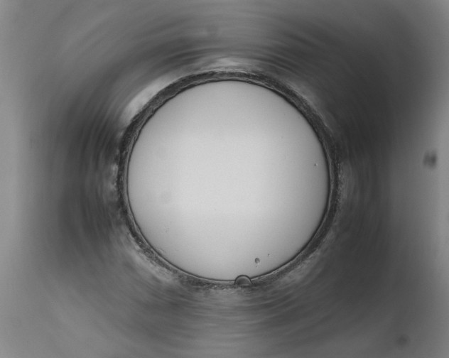 X0000112491066200909071216