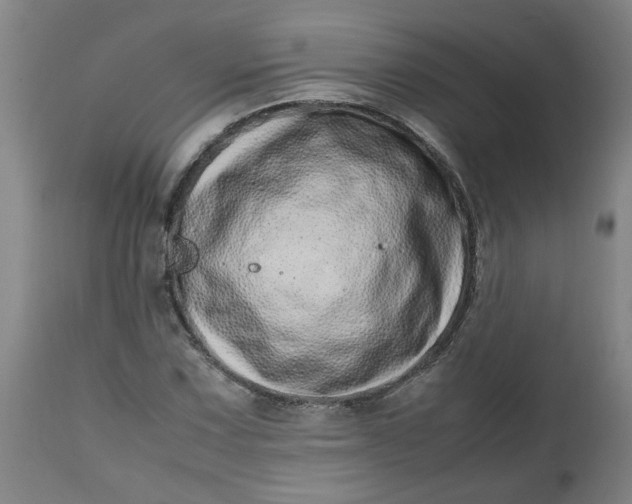 X0000112491067200909071216