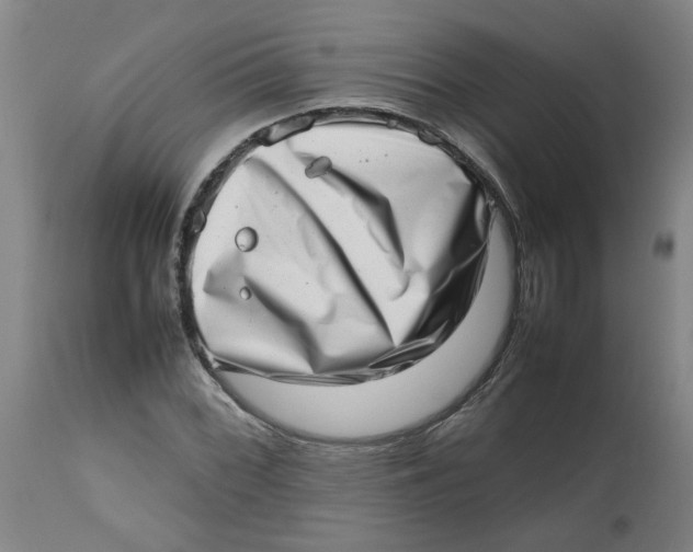 X0000112491068200909071216