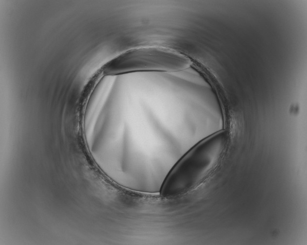 X0000112491069200909071216