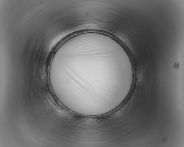 X0000112491070200909071216