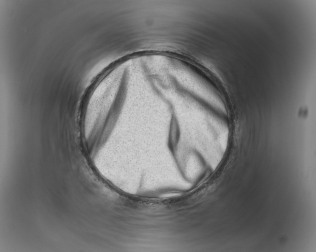 X0000112491071200909071216