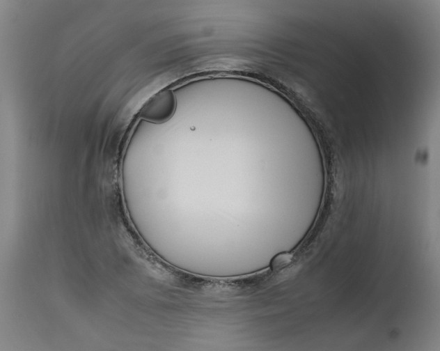 X0000112491073200909071216