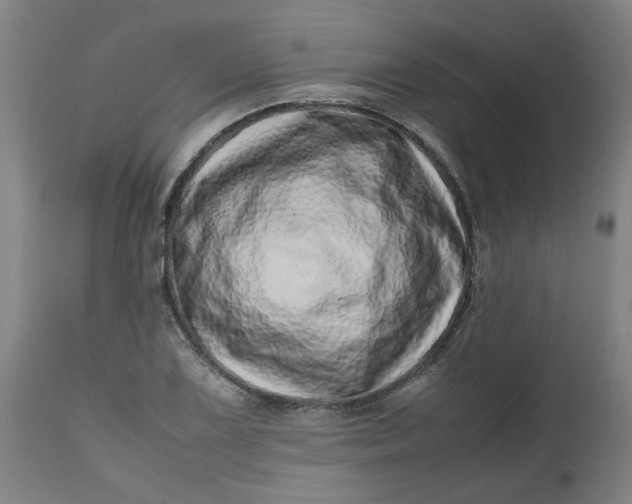 X0000112491075200909071216