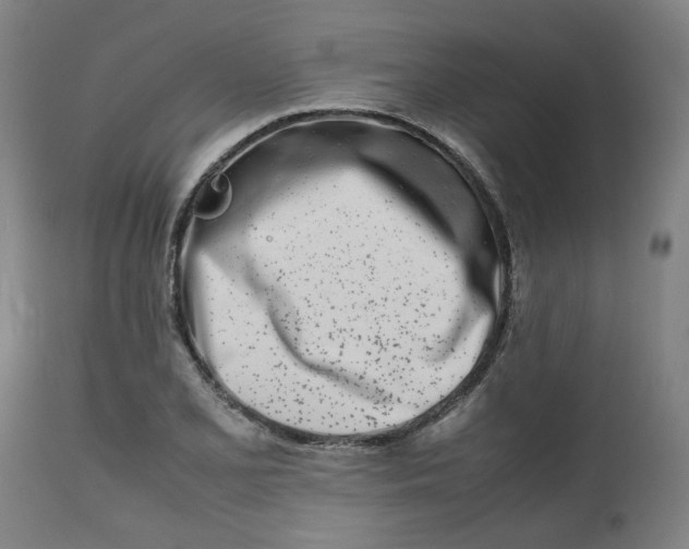 X0000112491077200909071216