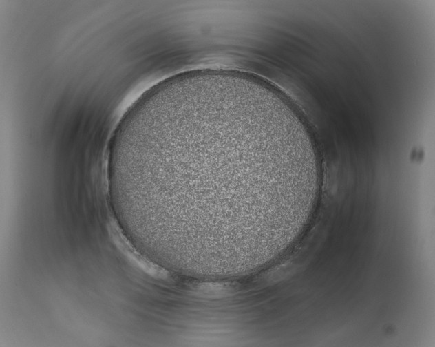 X0000112491078200909071216