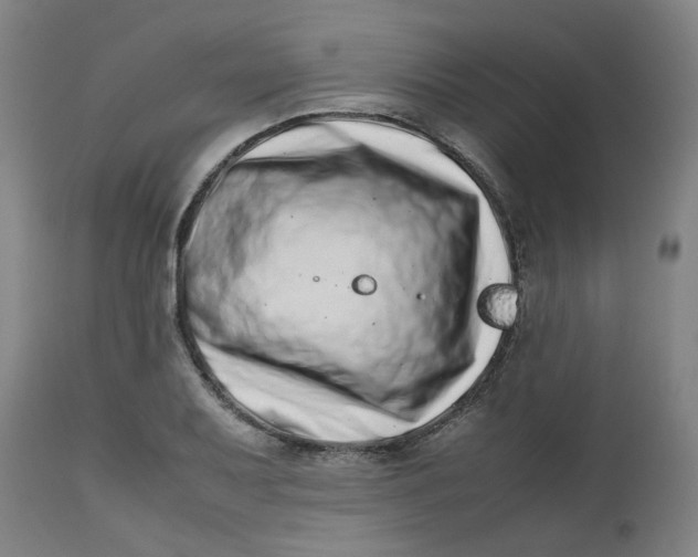 X0000112491079200909071216