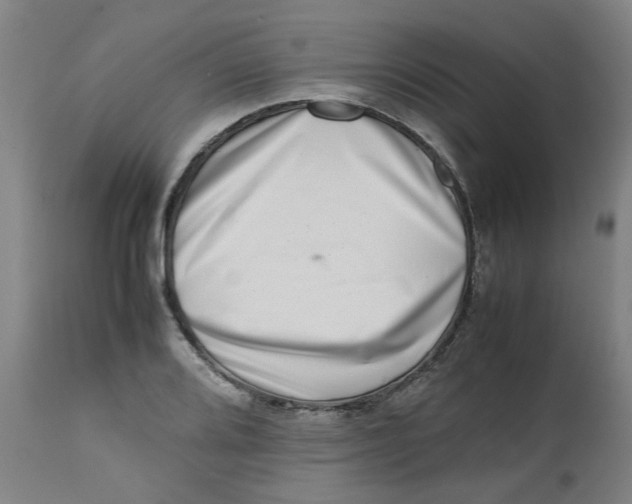 X0000112491080200909071216