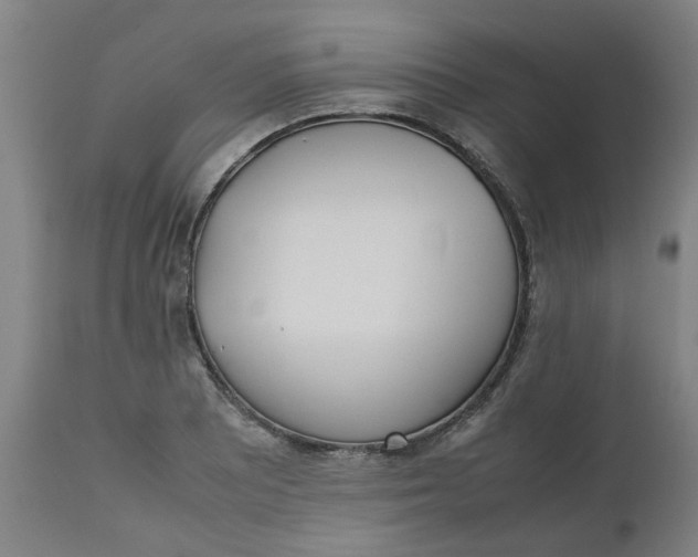 X0000112491081200909071216