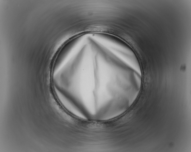 X0000112491083200909071216