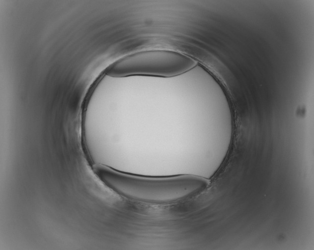 X0000112491084200909071216