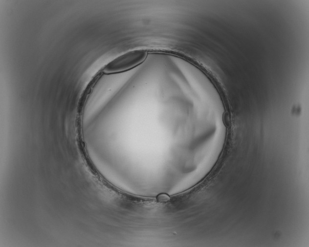 X0000112491085200909071216