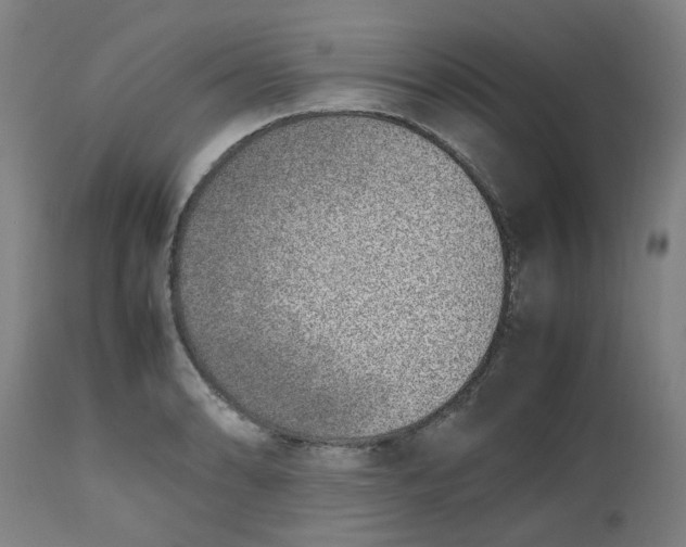 X0000112491086200909071216