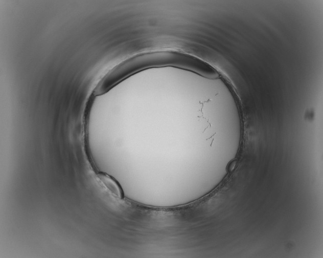 X0000112491088200909071216