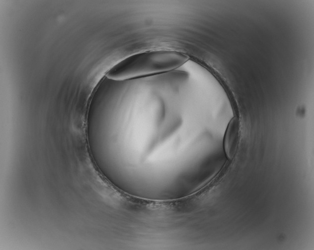 X0000112491089200909071215