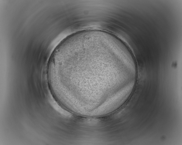 X0000112491090200909071215