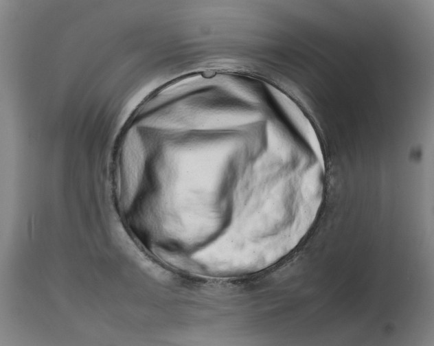 X0000112491091200909071215