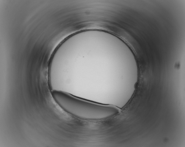 X0000112491092200909071215