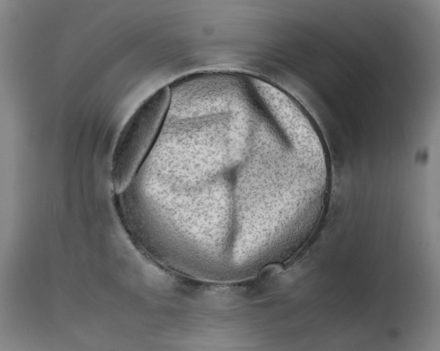 X0000112491093200909071215