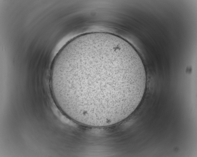 X0000112491094200909071215