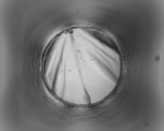 X0000112491095200909071215