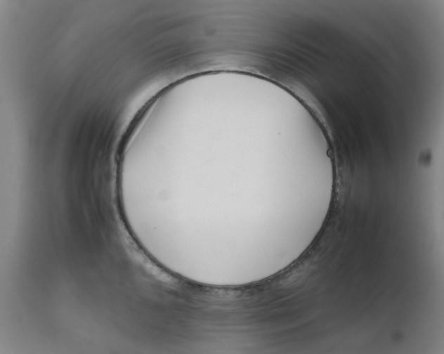 X0000112491096200909071215