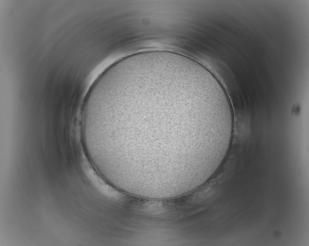 X0000112491098200909071215